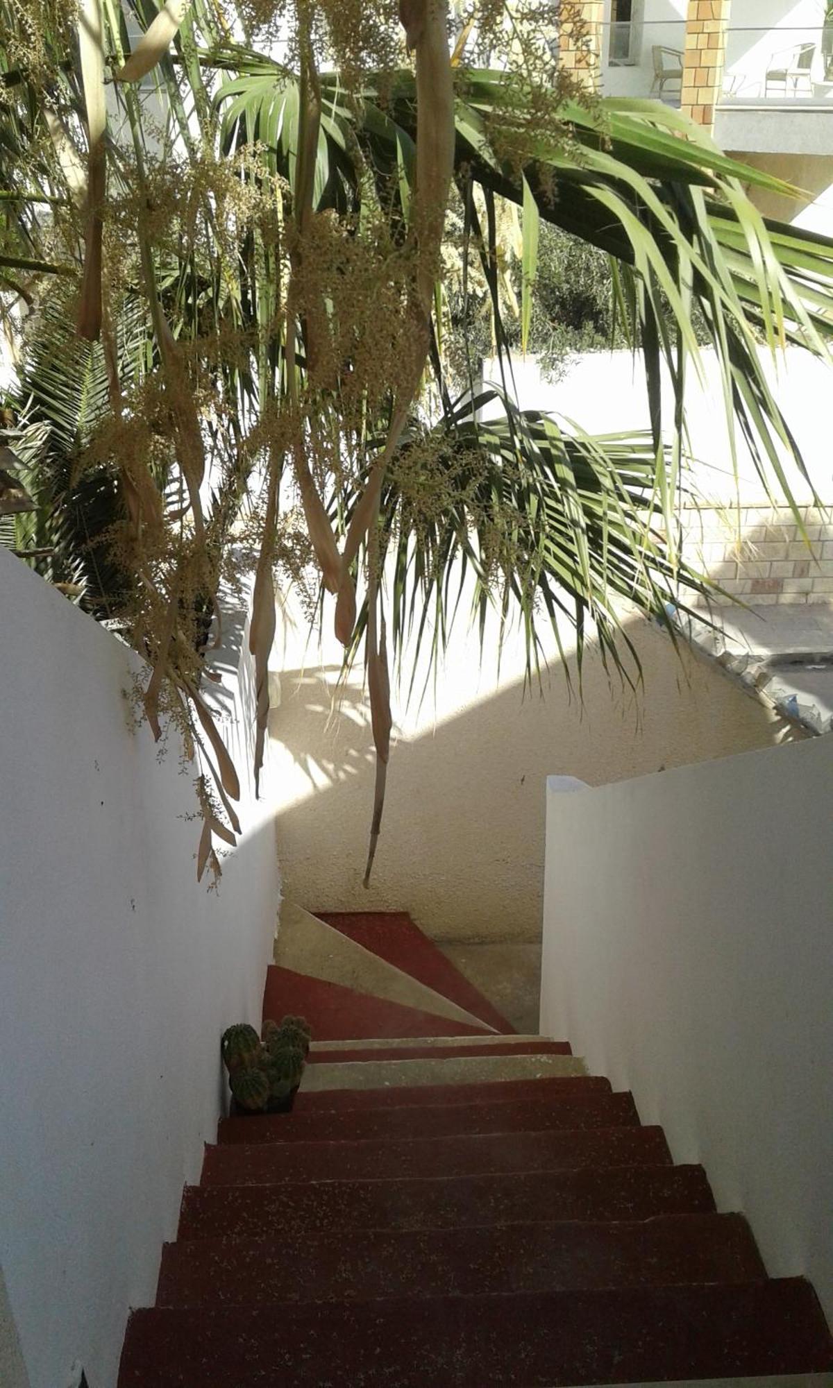 Duplex Pied Dans L'Eau Avec Magnifique Vue Sur Mer Monastir Exteriör bild